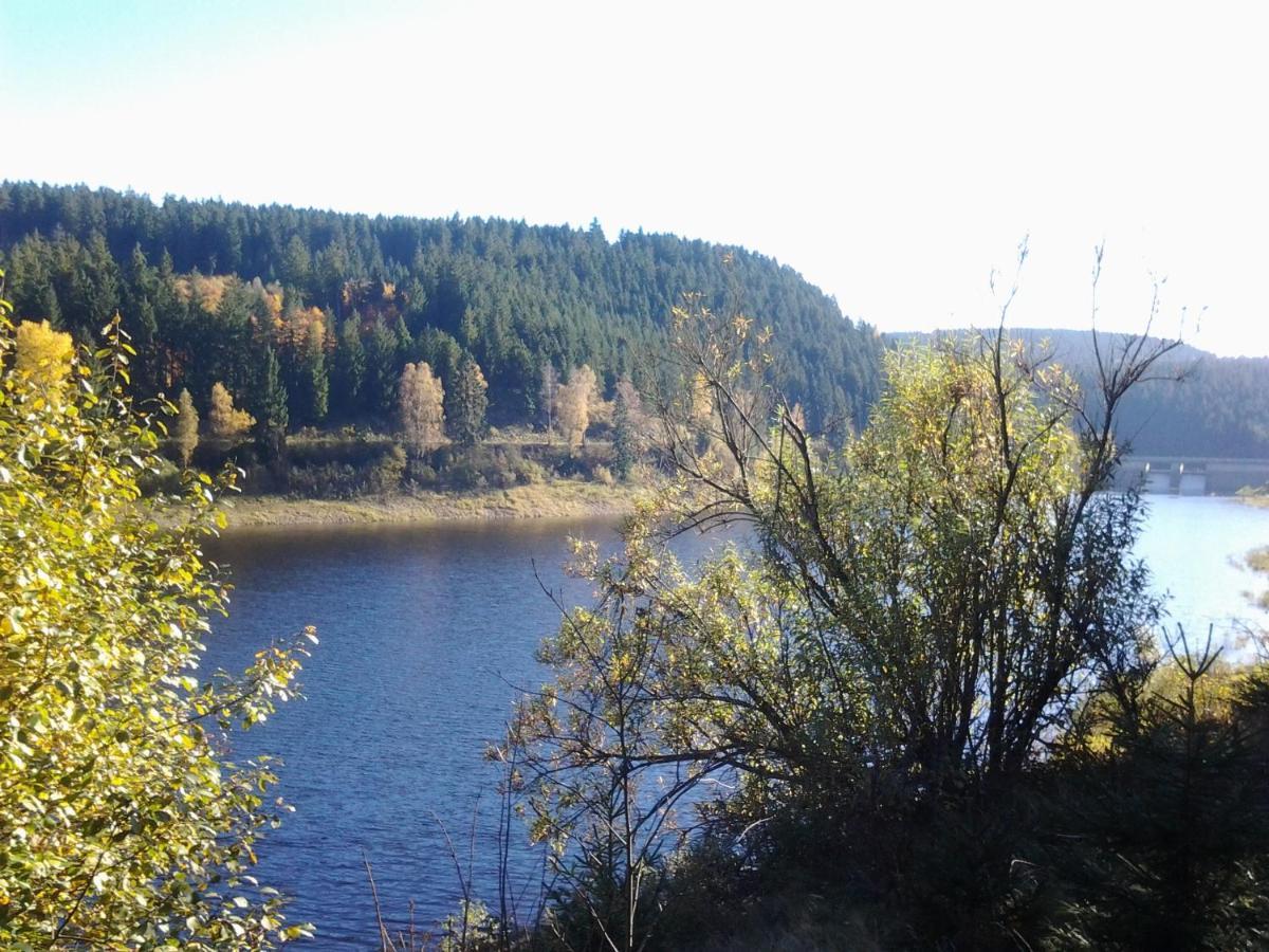 Fewo Therme Inkl Handtuecher Und Bettwaesche Altenau  Bagian luar foto